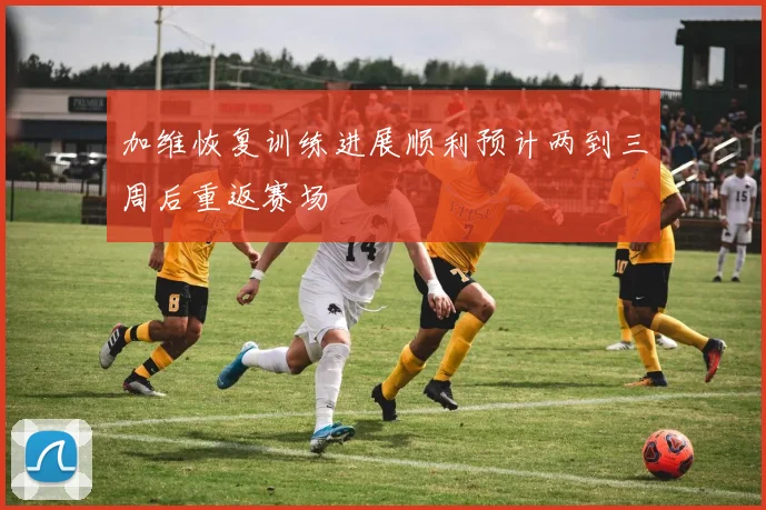加维恢复训练进展顺利预计两到三周后重返赛场