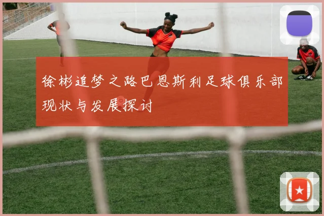 徐彬追梦之路巴恩斯利足球俱乐部现状与发展探讨
