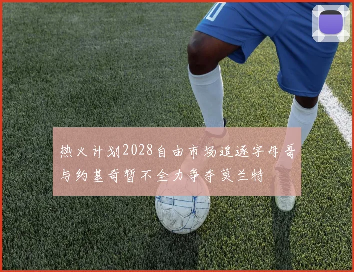 热火计划2028自由市场追逐字母哥与约基奇暂不全力争夺莫兰特