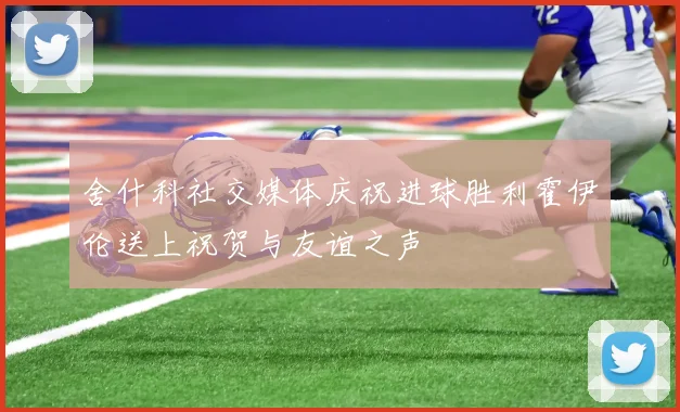 舍什科社交媒体庆祝进球胜利霍伊伦送上祝贺与友谊之声
