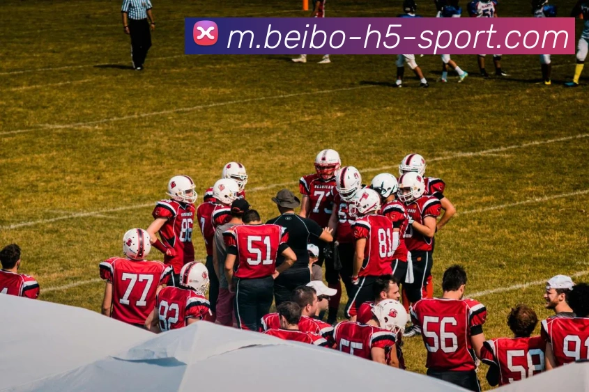 贝博体育发展历程