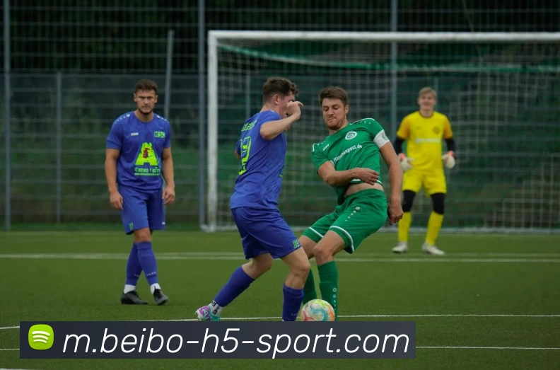 App界面